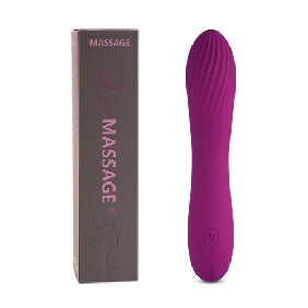 10 Speeds Rechargeable Silicone Purple Color Classic Vibrator