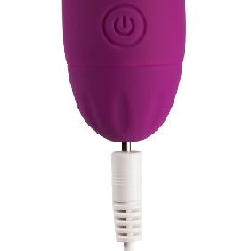 10 Speeds Rechargeable Silicone Purple Color Classic Vibrator