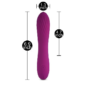 10 Speeds Rechargeable Silicone Purple Color Classic Vibrator