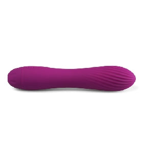 10 Speeds Rechargeable Silicone Purple Color Classic Vibrator